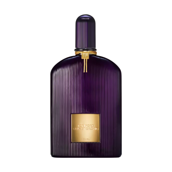 Velvet Orchid